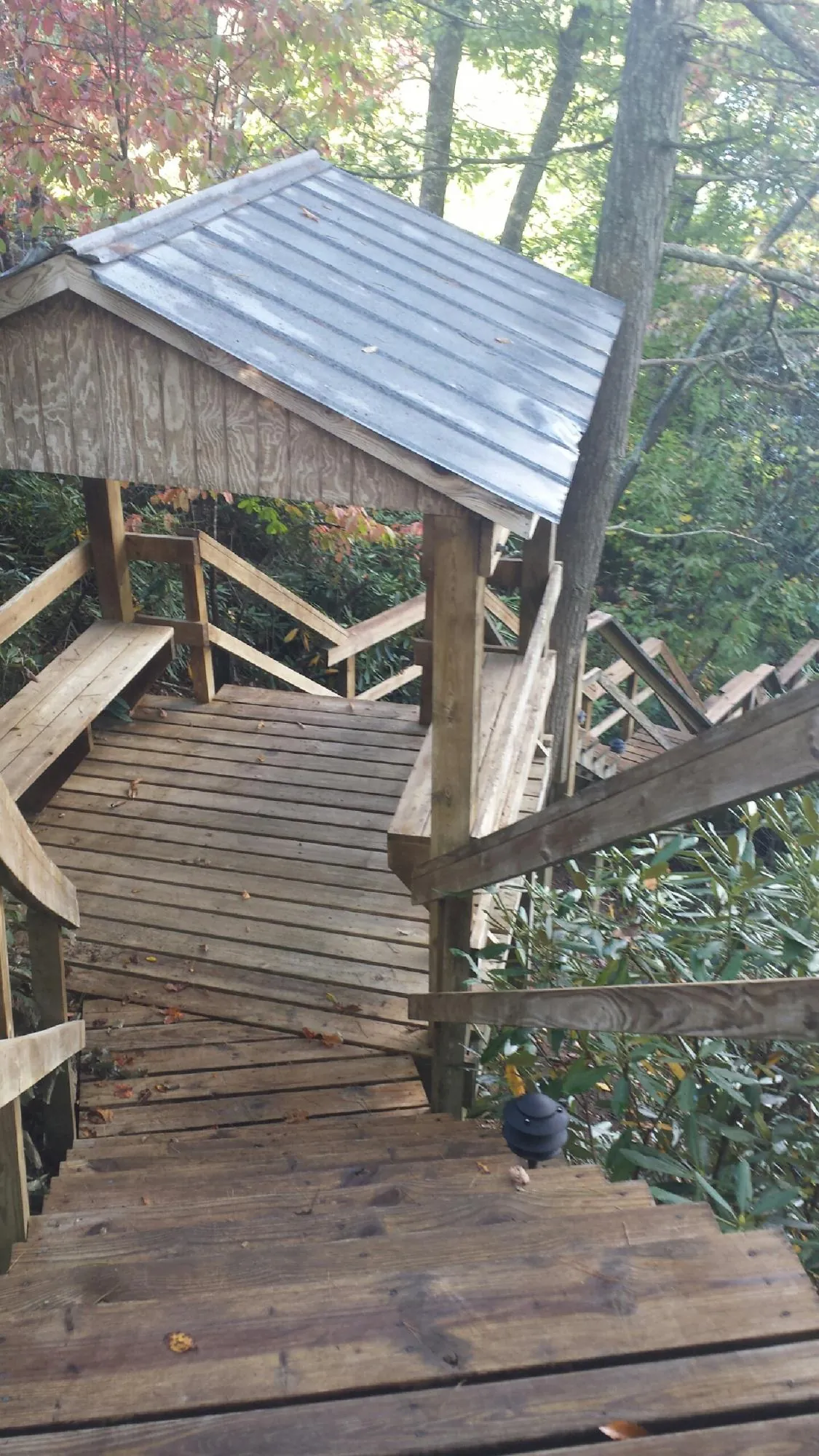 Metal roofed shelter over wooden steps on a wooded walkway — Skylight Repair & Installation work by our crew in Bloomdale