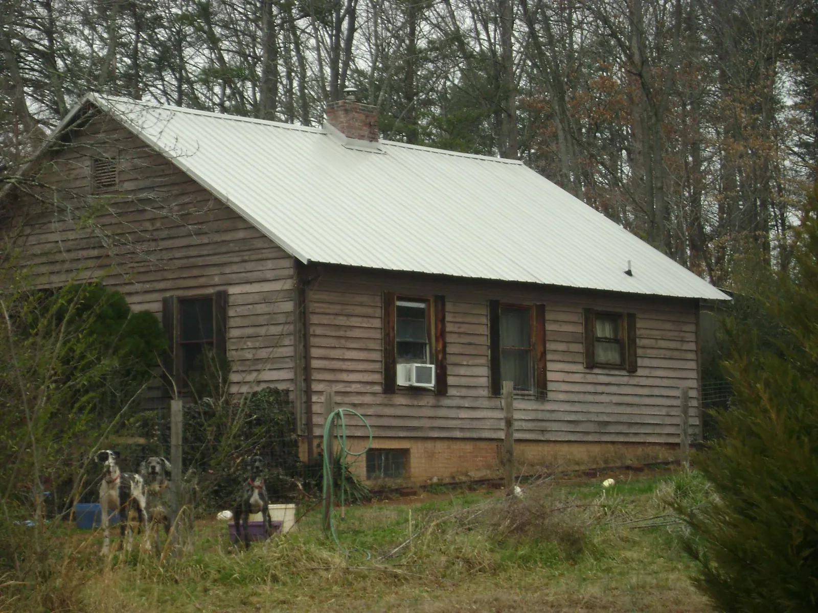 White metal roof on an old wood sided farmhouse, from a Asphalt Shingle Roof Repair job in Bloomdale